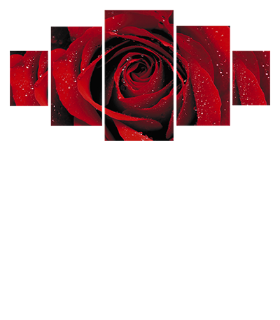 Adresse - Horaires - Téléphone - La Rose Rouge - Restaurant Decines Charpieu